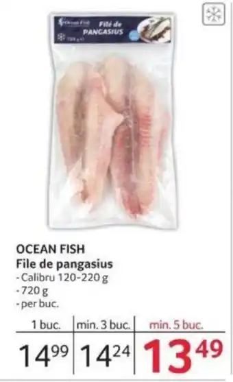 Selgros OCEAN FISH File de pangasius Ofertă