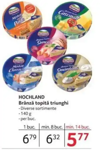 Selgros HOCHLAND Brânză topită triunghi Ofertă