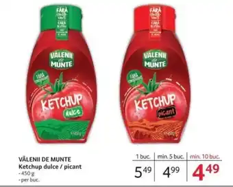 Selgros VALENII DE MUNTE Ketchup dulce / picant Ofertă
