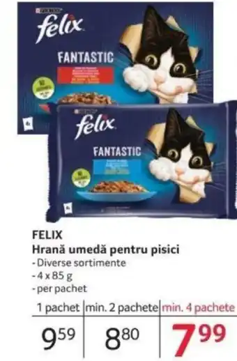 Selgros FELIX Hrană umedă pentru pisici Ofertă