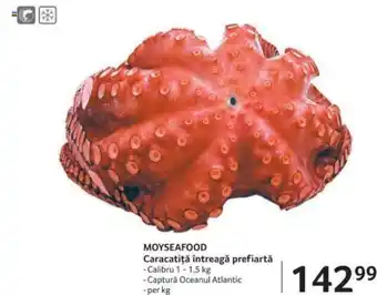 MOYSEAFOOD Caracatiţă întreagă prefiartă