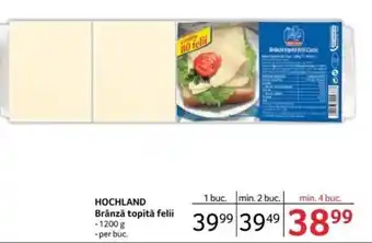 Selgros HOCHLAND Brânză topită felii Ofertă