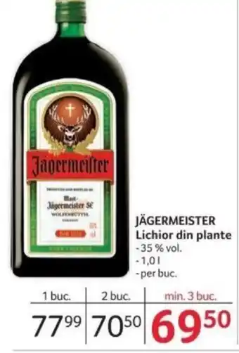 Selgros JÄGERMEISTER Lichior din plante Ofertă