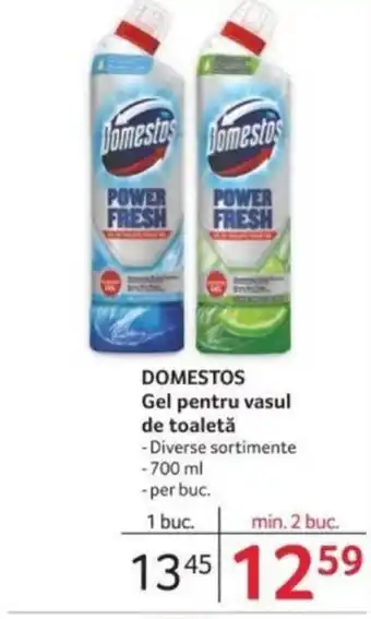 Selgros DOMESTOS Gel pentru vasul de toaletă Ofertă