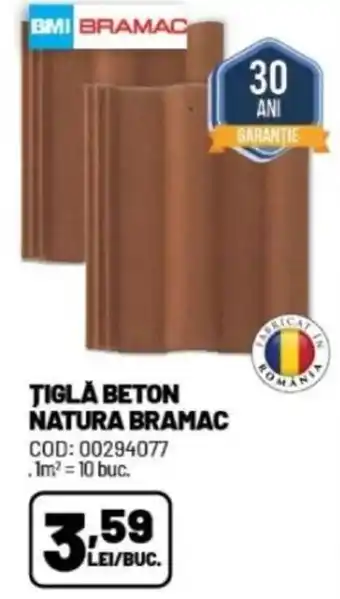 Ambient TIGLÅ BETON NATURA BRAMAC Ofertă