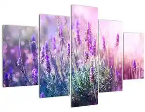 Favi Tablou - Lavandă în strălucirea soarelui (150x105 cm) Ofertă