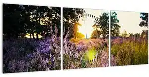 Favi Tablou - Câmp cu lavandă (cu ceas) (90x30 cm) Ofertă