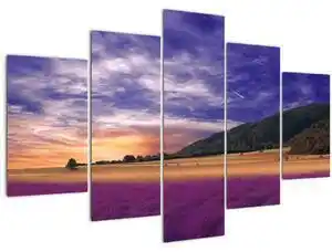 Favi Tablou cu lunca cu lavandă (150x105 cm) Ofertă