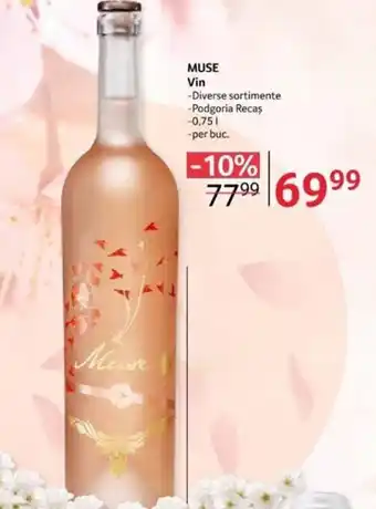 Selgros MUSE Vin Ofertă