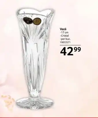 Selgros Vază Ofertă