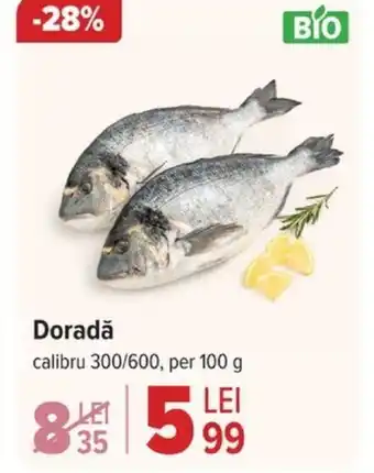 Doradă