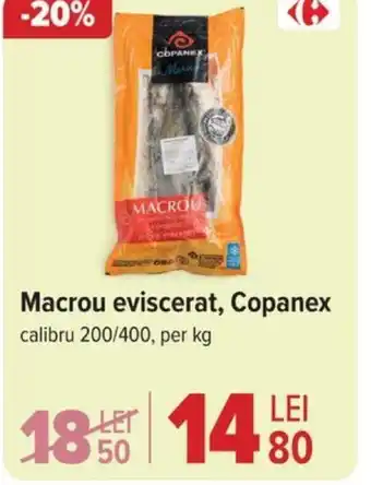 Carrefour Macrou eviscerat, Copanex Ofertă