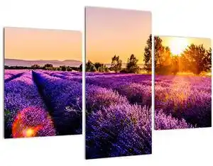 Favi Tablou cu câmp de lavandă, Provincie (90x60 cm) Ofertă