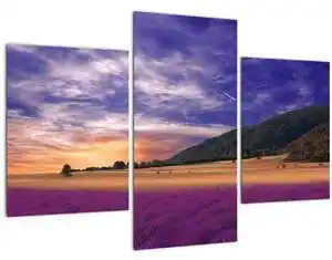 Favi Tablou cu lunca cu lavandă (90x60 cm) Ofertă