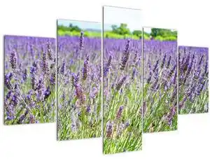 Favi Tablou - Lavandă în câmp (150x105 cm) Ofertă