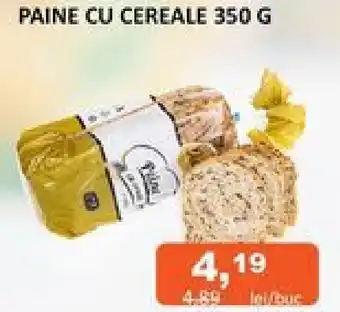 Unicarm PAINE CU CEREALE 350 G Ofertă