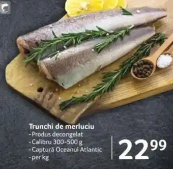 Selgros Trunchi de merluciu Ofertă