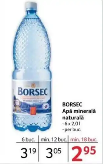 Selgros BORSEC Apă minerală naturală Ofertă
