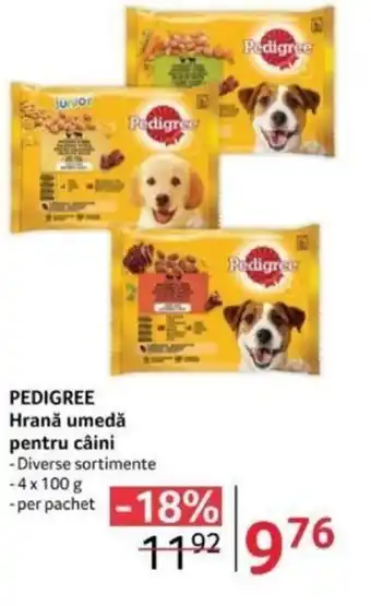 Selgros PEDIGREE Hrană umedă pentru câini Ofertă