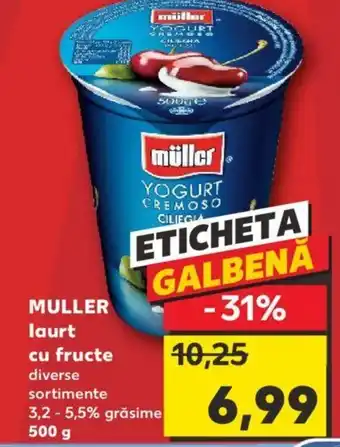 Kaufland MULLER laurt cu fructe Ofertă