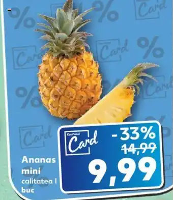 Kaufland Ananas mini Ofertă