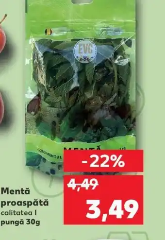Mentă proaspătă