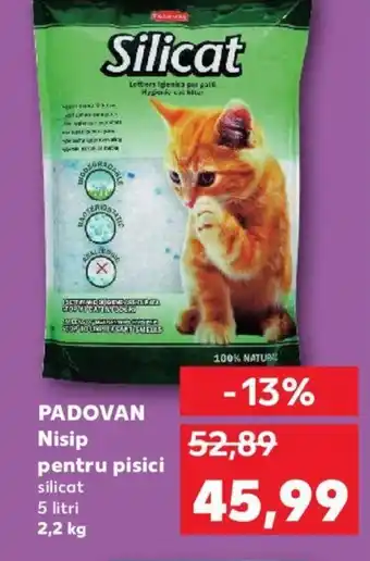 Kaufland PADOVAN Nisip pentru pisici Ofertă