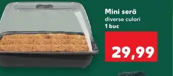 Kaufland Mini seră Ofertă