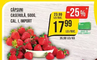 Mega Image CĂPŞUNI CASEROLĂ, 500G, CAL. I, IMPORT Ofertă
