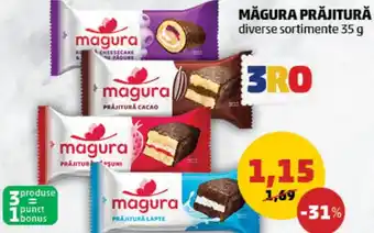 MĂGURA PRĂJITURĂ