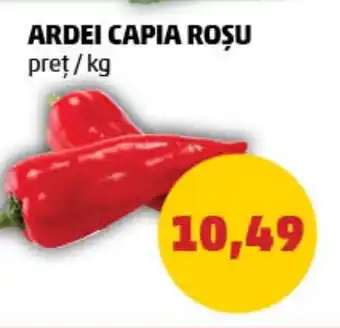 Penny ARDEI CAPIA ROȘU Ofertă