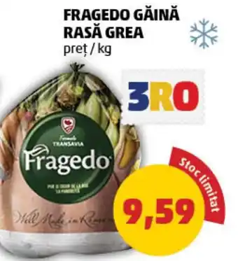 Penny FRAGEDO GĂINĂ RASĂ GREA Ofertă