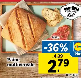 Lidl Pâine multicereale Ofertă