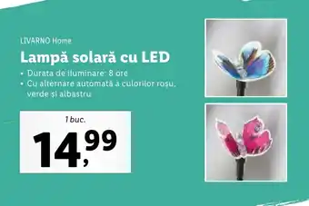 Lidl Lampă solară cu LED Ofertă