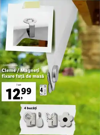 Lidl Cleme/ Magneți fixare față de masă Ofertă