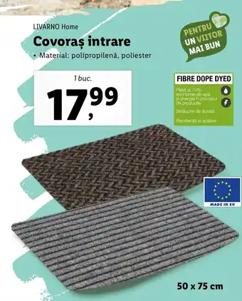 Covoras intrare