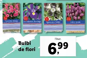 Bulbi de flori
