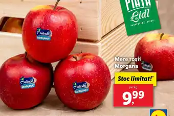Lidl Mere roşii Morgana Ofertă