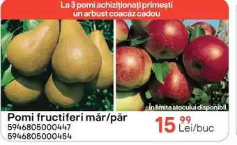 Pomi fructiferi măr/păr