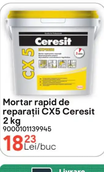 Mortar rapid de reparații CX5 Ceresit 2 kg