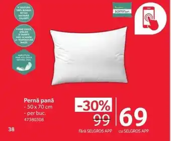 Selgros Pernă pană Ofertă