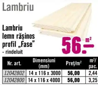 Hornbach Lambriu lemn răsinos profil Fase Ofertă
