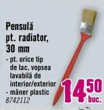 Pensulă pt. radiator, 30 mm