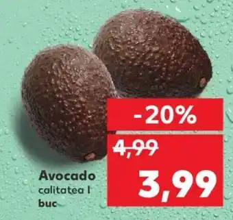 Kaufland Avocado Ofertă