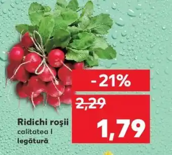 Kaufland Ridichi roşii Ofertă