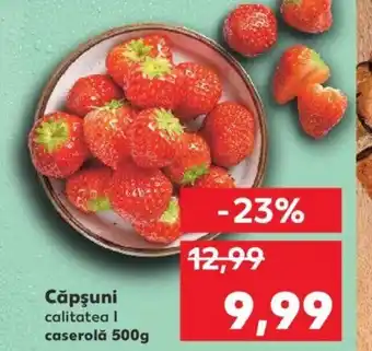 Kaufland Căpşuni Ofertă