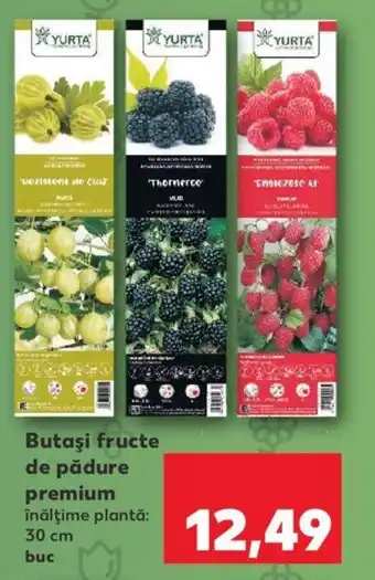 Kaufland Butaşi fructe de pădure premium Ofertă