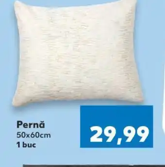 Kaufland Pernǎ 50x60cm Ofertă