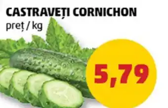 Penny CASTRAVETI CORNICHON Ofertă