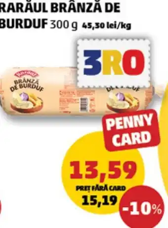 RARĂUL BRÂNZĂ DE BURDUF
